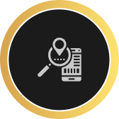 Local Search Audit